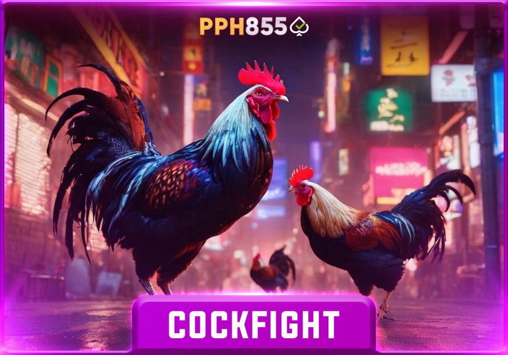 Experience the Intensity of Cockfighting on PPH855: Thrills, Strategy, and Rewards